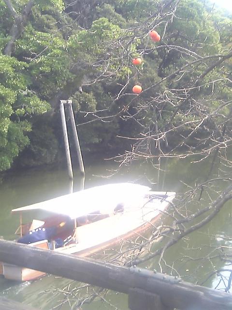 ship2