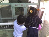 動物園01.jpg