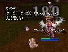 狸