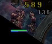 ５～６匹