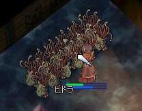 ひどら