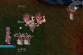 豊作？