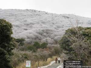 牧の戸峠　降雪orz