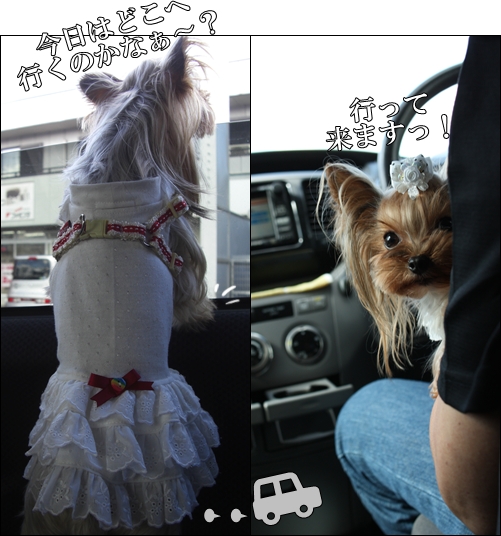 行って来ますっ！