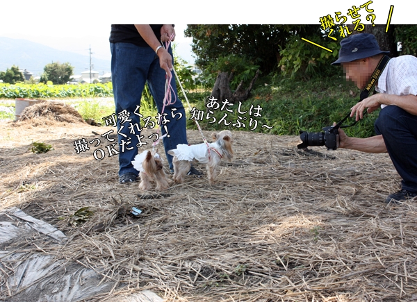 撮らせてくれる？