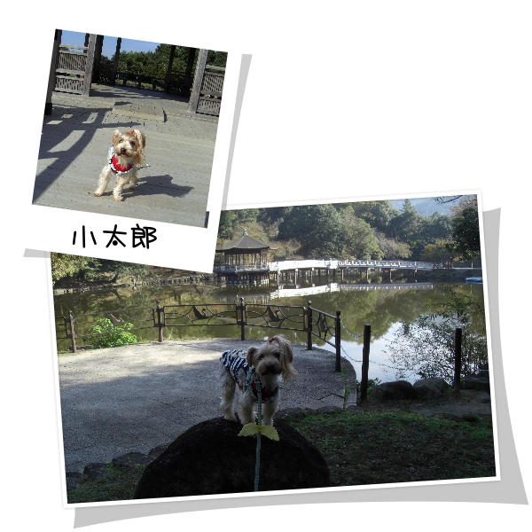 2011.10