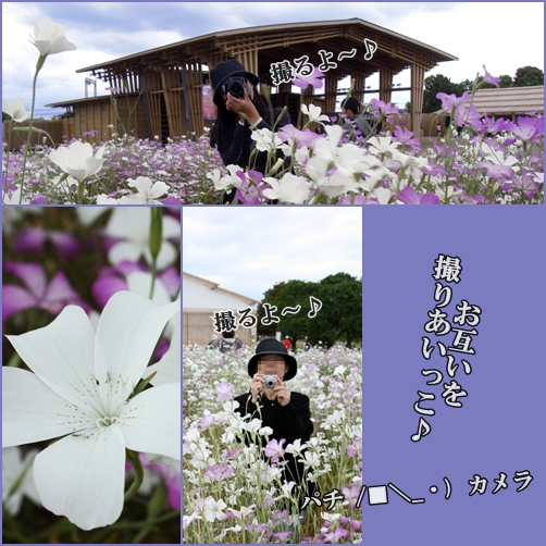 お互いを撮りあいっこ♪