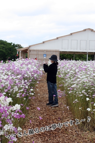 ママさん撮るのに夢中ですよ～♪