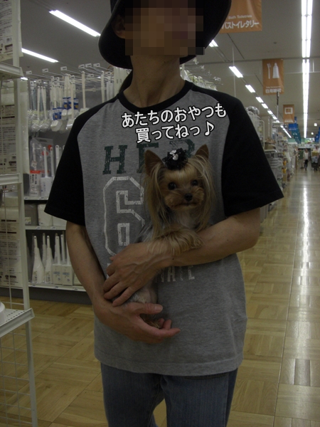 あたちのおやつも買ってねっ♪