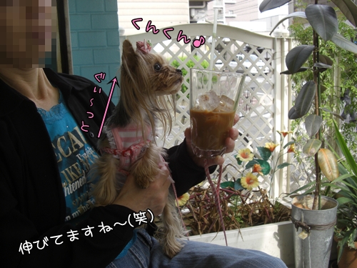伸びてますね～(笑)