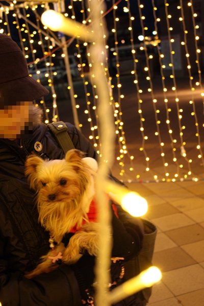 2010.12
