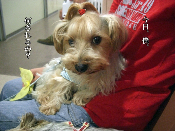 今日、僕、何されるの？