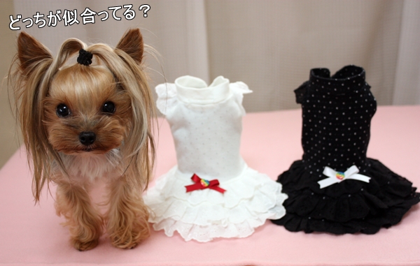 どっちが似合ってる？