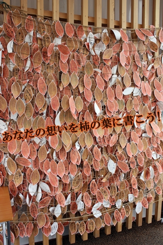 あなたの想いを柿の葉に書こう!