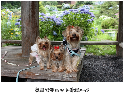 東屋でチョット休憩～♪