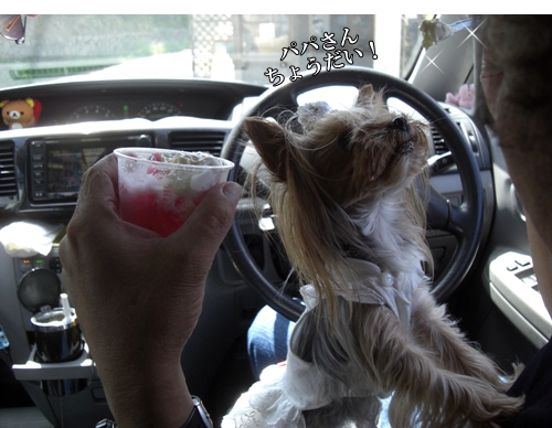 パパさんちょうだい！