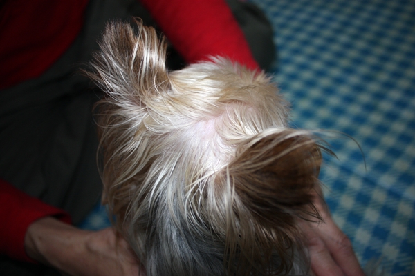 かさぶたの経過