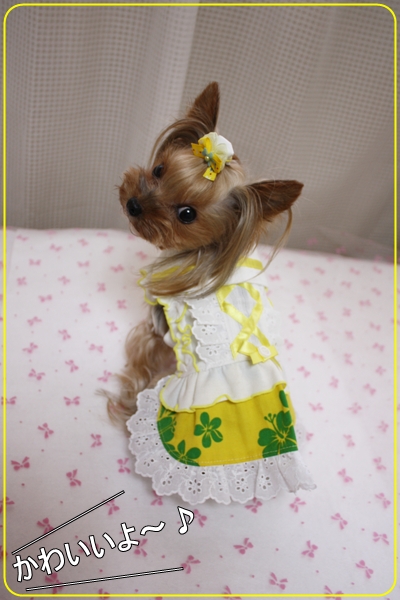 かわいいよ～♪