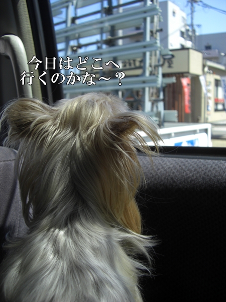 今日はどこへ行くのかな～？