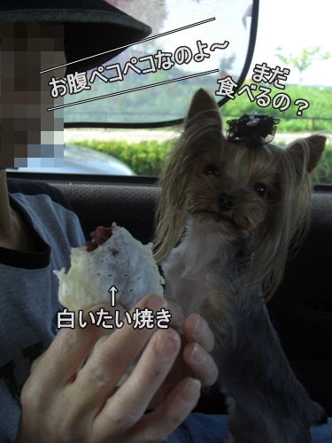 まだ食べるの？