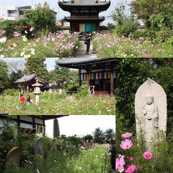 2010.10
