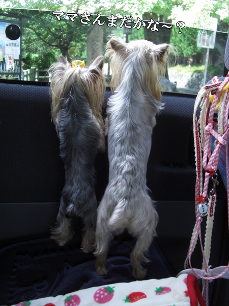 ママさんまだかな～？