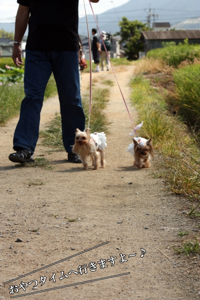 おやつタイムへ行きますよ～♪