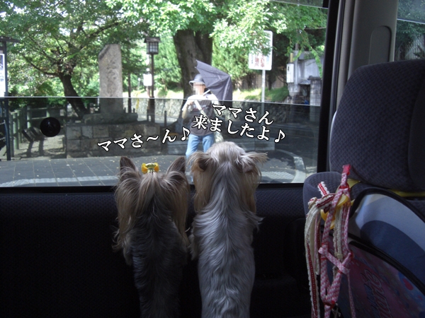 ママさん来ましたよ♪