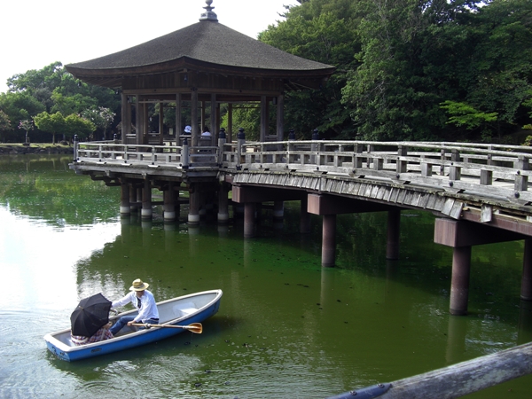 浮御堂のボート