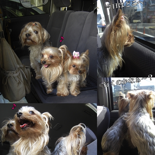 今日はどこへ行くのかなぁ～？