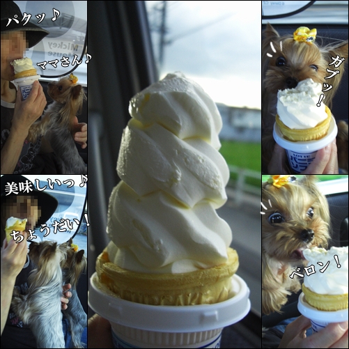 ソフトクリーム