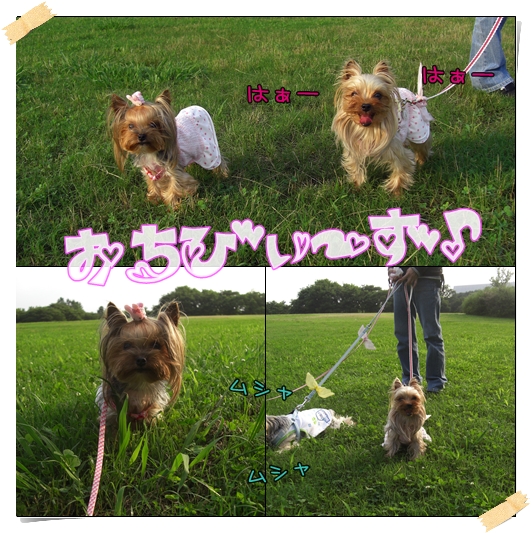 おちびぃ～ず♪