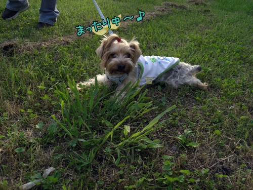 まったり中～♪