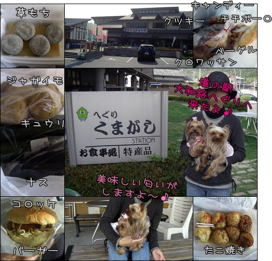 道の駅・大和路へぐり