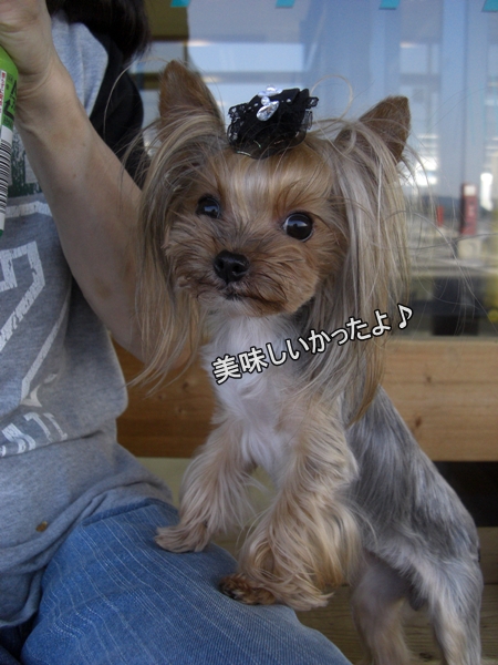 美味しいかったよ♪