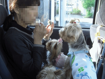 パクッ♪あっ!!