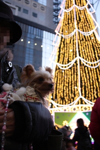 2010.12