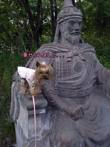 乗せられました...