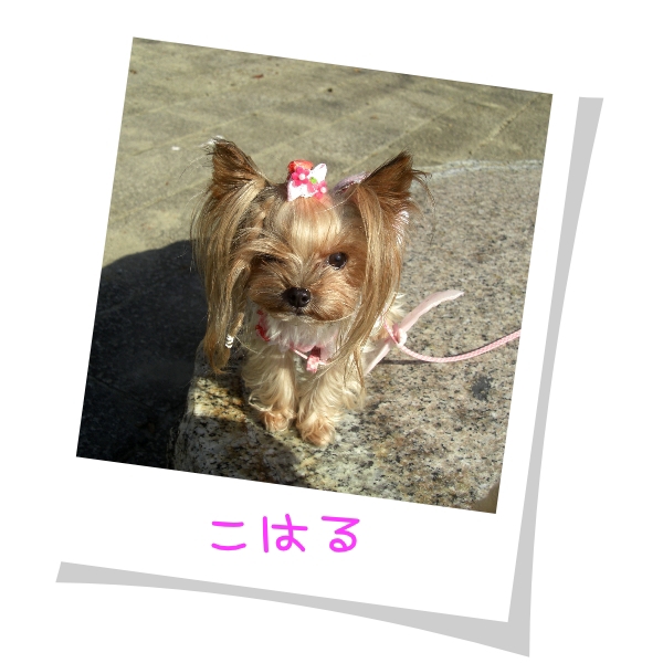 2011.10