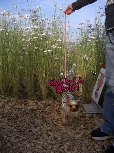 せんとくん見っけ!