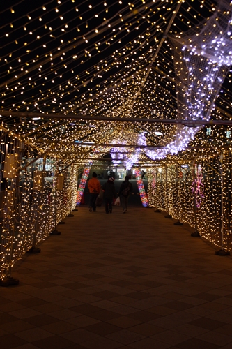 2010.12