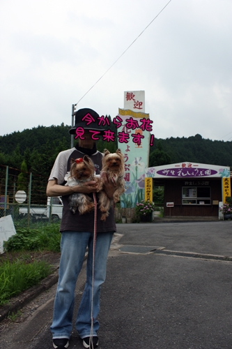 今からお花見て来ます！