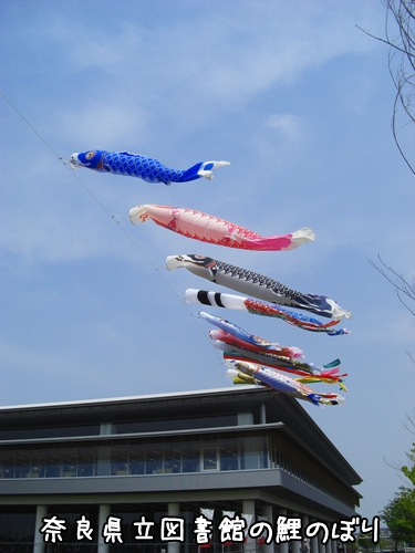 奈良県立図書館の鯉のぼり