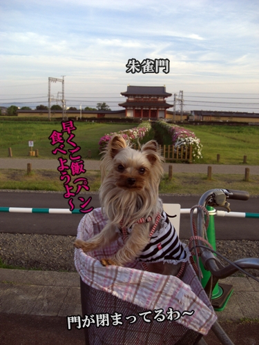 門が閉まってるわ～