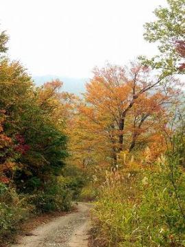 １０月１５日ヒメ山紅葉16