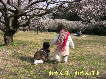 ２月梅林公園３.JPG