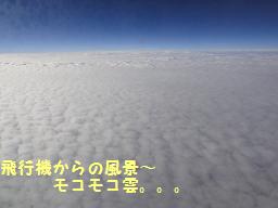 11月飛行機から.JPG