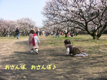 ２月梅林公園２.JPG