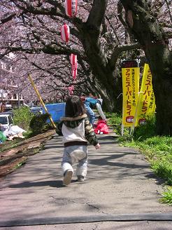 ４月３日おはなみ.かいだん道路.JPG