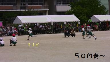 ５月運動会徒競走.JPG